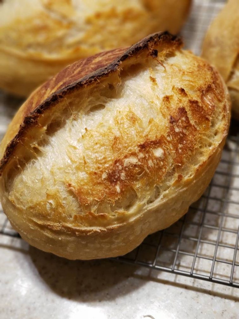 Basic White Sourdough Bread Etsy