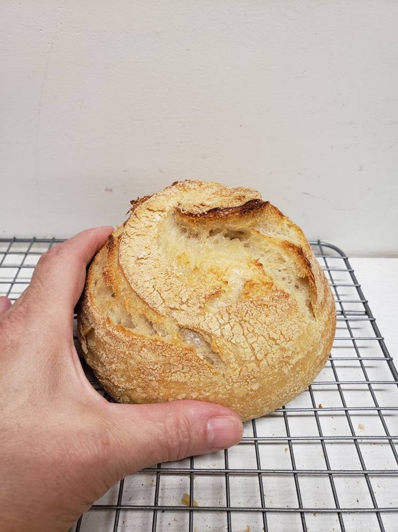 Mini Sourdough Bread Boules or Loaves 2 per order Etsy