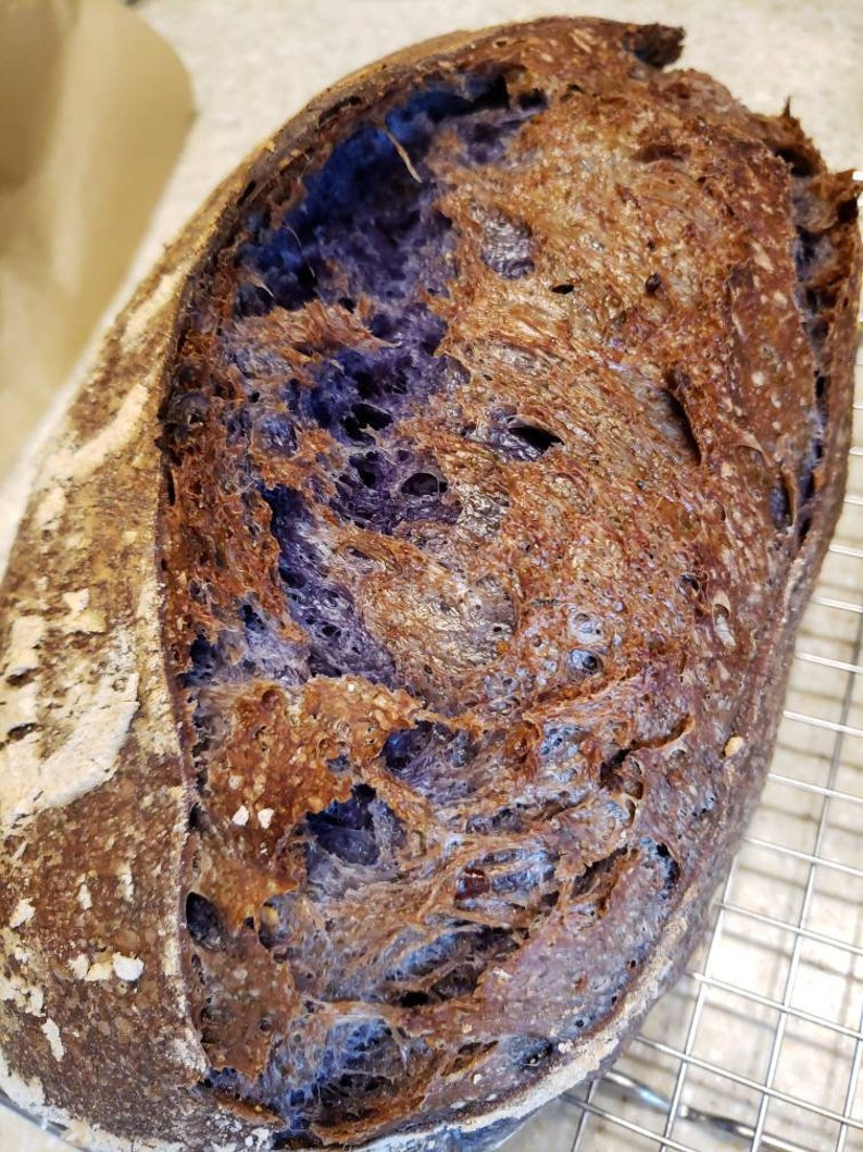 Butterfly Pea Flower Sourdough Bread Etsy Butterfly Pea Flower Sourdough Bread Etsy