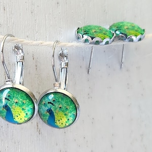 Peacock Art Earrings