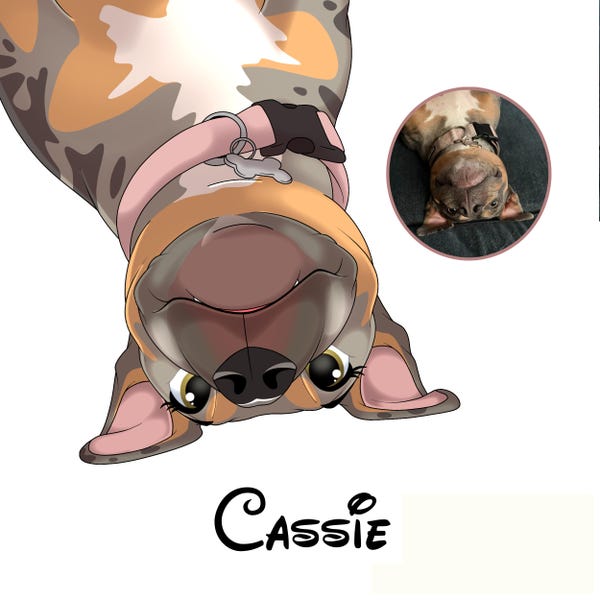 Custom Cartoon Pet Portrait | Cat, Dog, Horse, Rabbit Portrait From Photo | Cartoon Style | Custom Gift | Digital Prints | Illustration Art