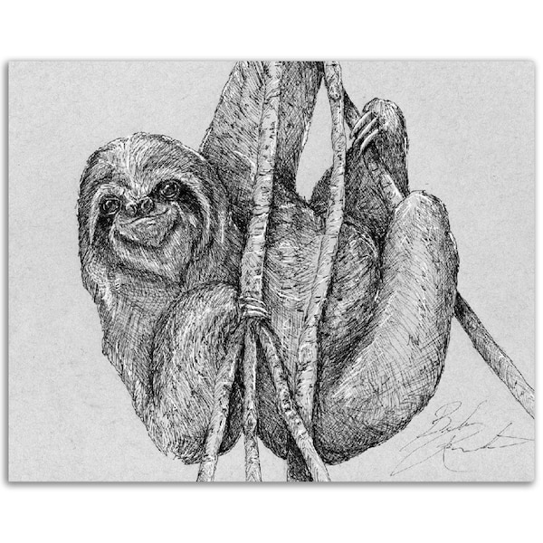 Sloth, Pen and Ink Print, Hand Drawn Animal Art, Black and White Vintage, Wall Art