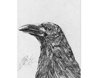 Raven, Pen and Ink Print, Hand Drawn Animal Art, Black and White Vintage, Wall Art, Bird