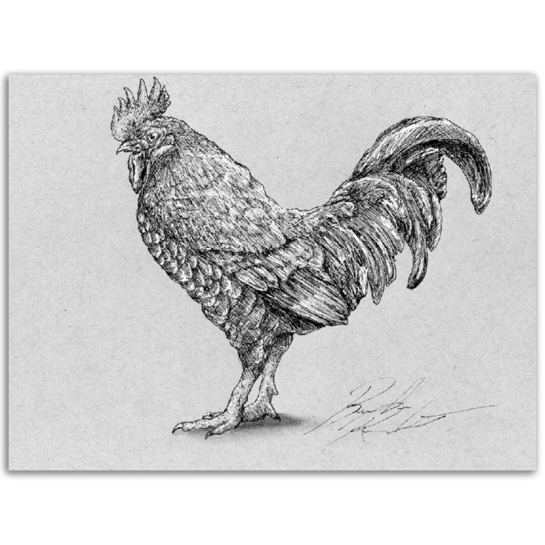 Rooster, Pen and Ink Print, Hand Drawn Animal Art, Black and White