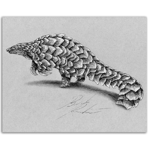 Pangolin, Pen and Ink Print, Hand Drawn Animal Art, Black and White Vintage, Wall Art