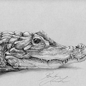 Crocodile, Pen and Ink Print, Hand Drawn Animal Art, Black and White Vintage, Wall Art