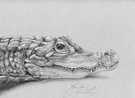 Crocodile, Pen and Ink Print, Hand Drawn Animal Art, Black and