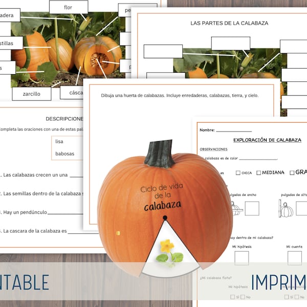 Pumpkins Packet in Spanish - Calabazas - Aprendizaje y exploración - Emergent Reader - Lector principiante