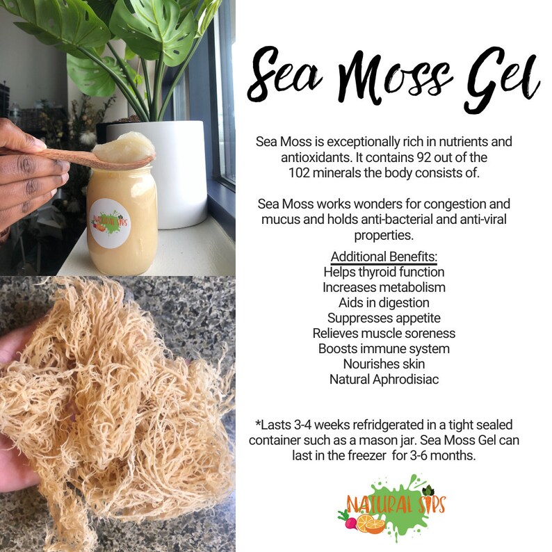 Sea Moss Gel Etsy