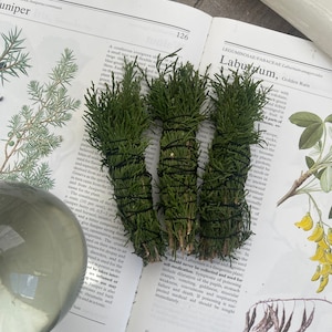 CEDAR Smudge Stick Alternative Cleanser/ Cedar Bundle/ Smoke Cleanser/Sage Wand/Sage Stick Alternative/ Smudge Alternative