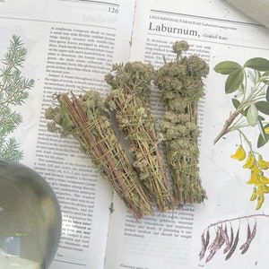 MOUNTAIN MINT Smudge Stick Alternative Cleanser/ Mint Bundle/ Smoke Cleanser/Sage Wand/Sage Stick Alternative/ Smudge Alternative