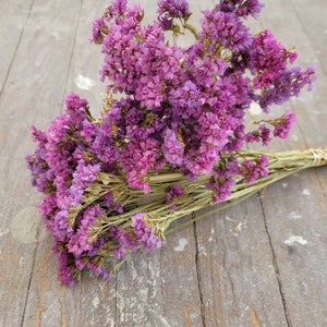 BRIGHT MIXED LILAC Sea Lavender Statice Dried Flower Bunch