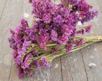 BRIGHT MIXED LILAC Sea Lavender Statice Dried Flower Bunch