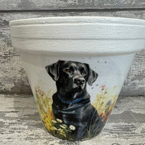 May include: White ceramic planter with a black Labrador Retriever illustration. The dog is wearing a blue collar and is surrounded by yellow and white flowers.