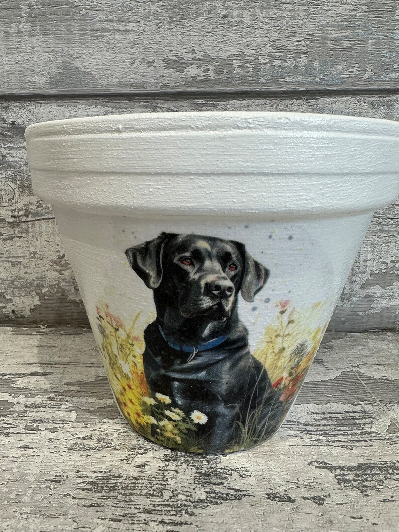 May include: White ceramic planter with a black Labrador Retriever illustration. The dog is wearing a blue collar and is surrounded by yellow and white flowers.