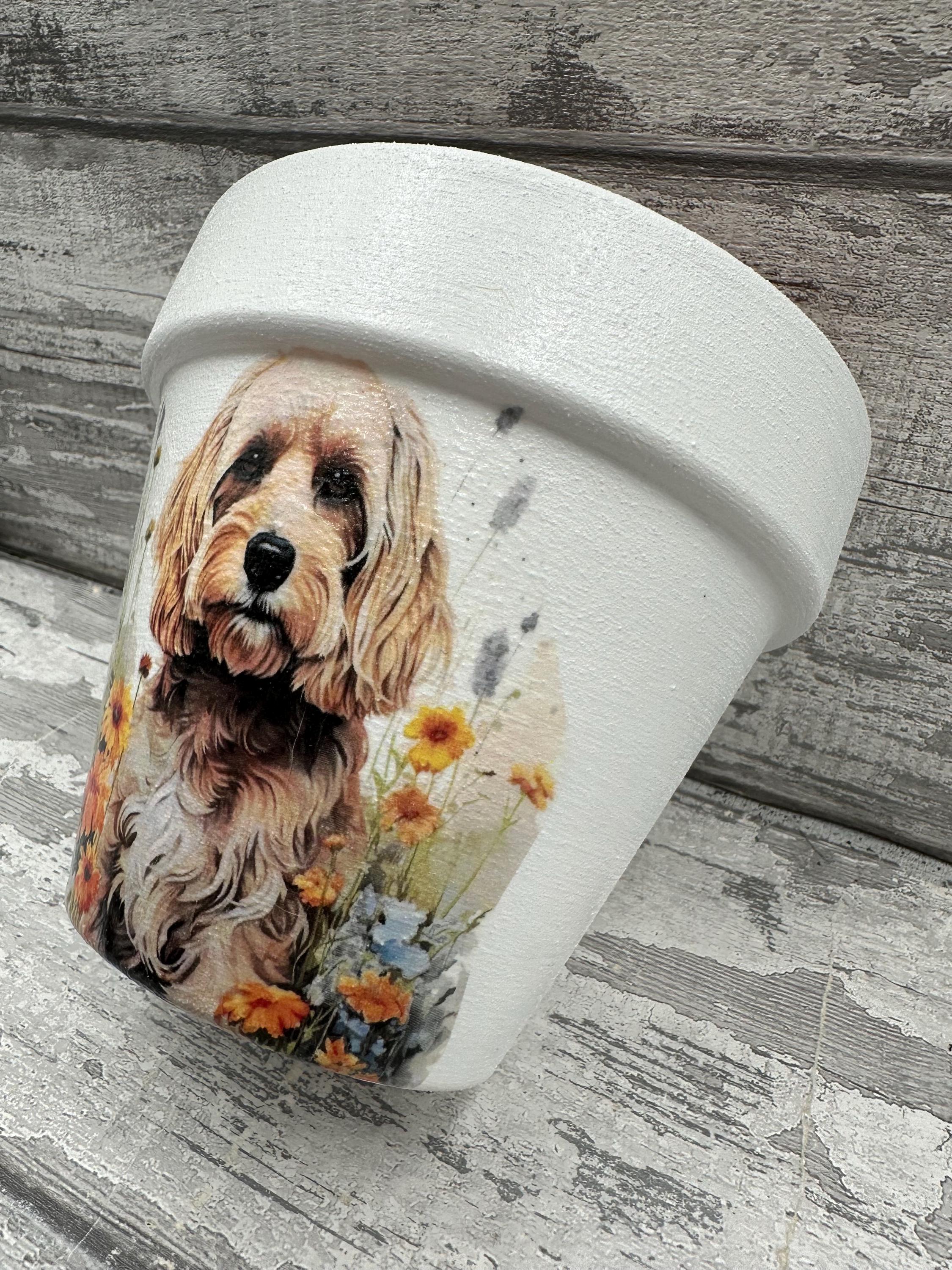 Cockapoo Plant Pot, for Inside or Out, Tan Cockapoo, Cockapoo Gifts ...