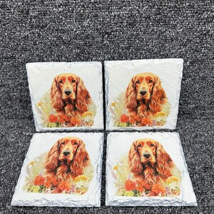 Könnte beinhalten: Set aus vier quadratischen Untersetzern mit einem braunen und weißen Hund mit Blumen. Die Untersetzer sind aus Schiefer und haben einen weißen Hintergrund.