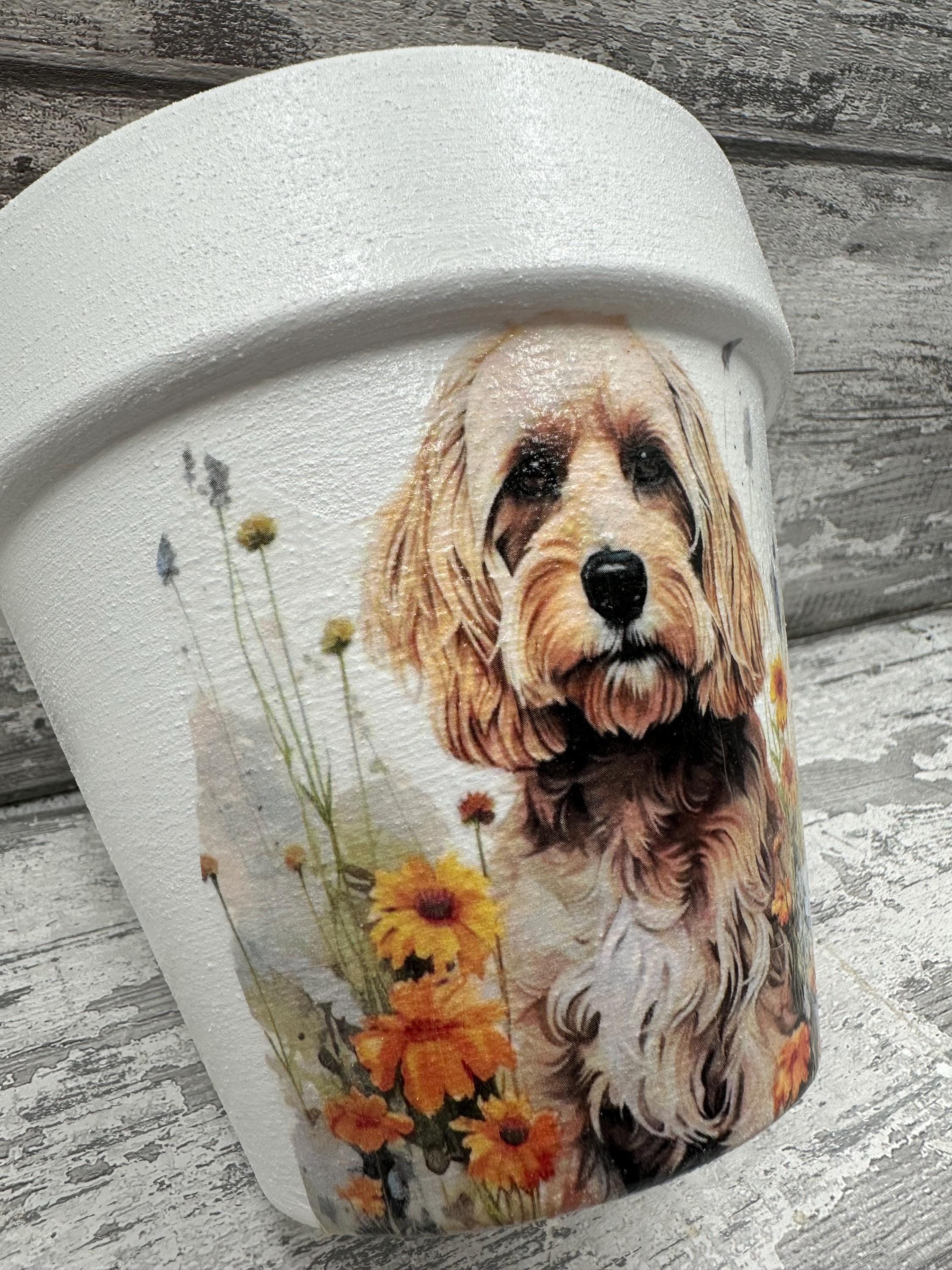 Cockapoo Plant Pot, for Inside or Out, Tan Cockapoo, Cockapoo Gifts ...