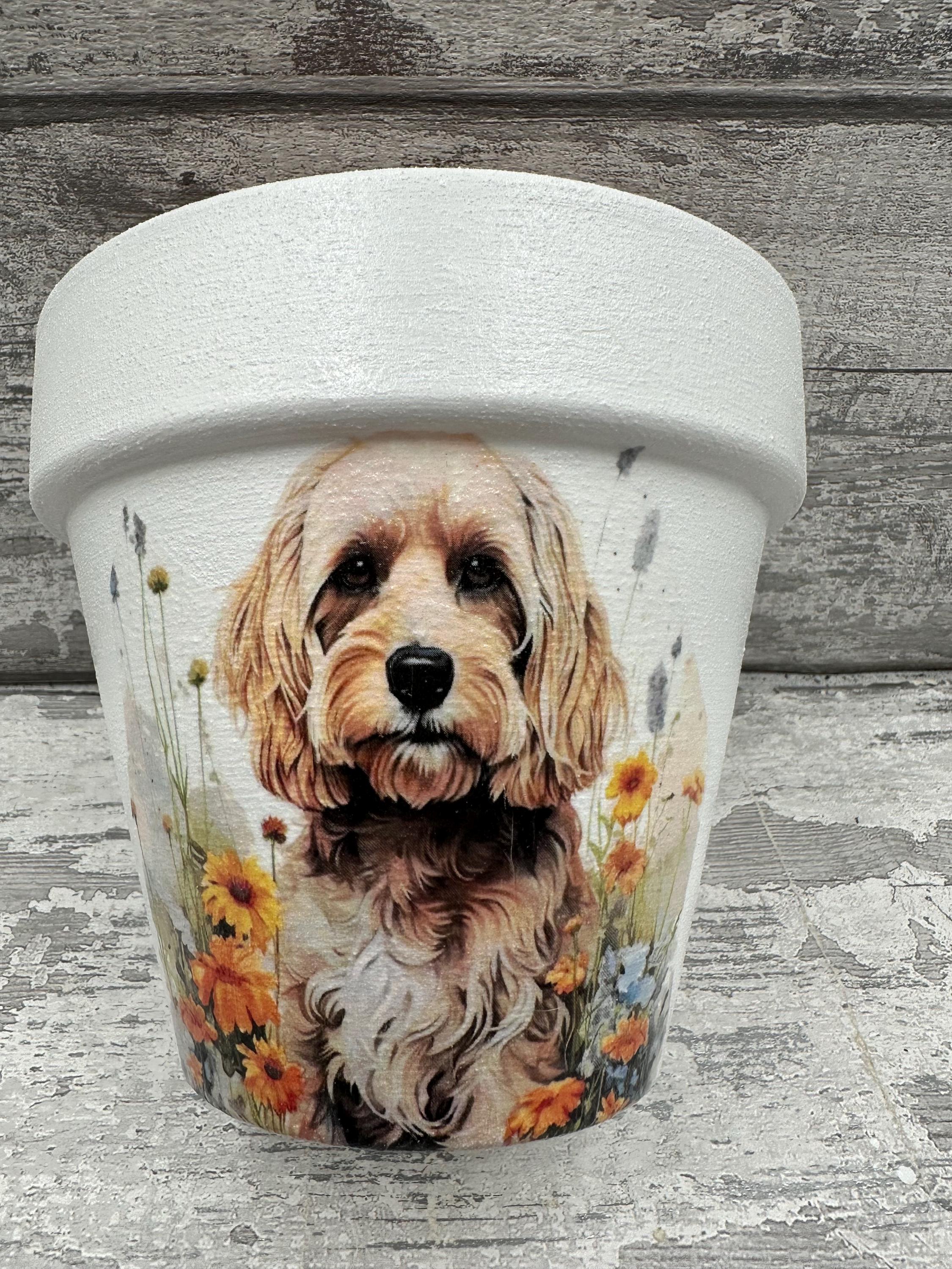 Cockapoo Plant Pot, for Inside or Out, Tan Cockapoo, Cockapoo Gifts ...