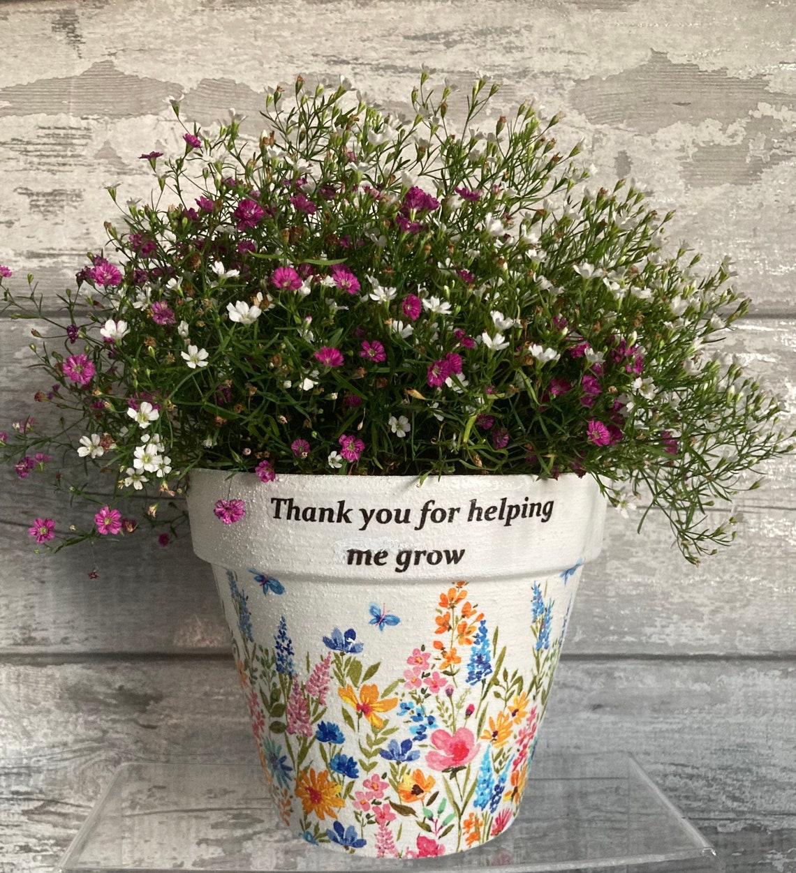 Teacher Gift Teacher Gifts Plant Pot for Inside or Out Etsy