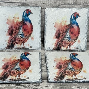 May include: Set of four square slate coasters featuring a watercolor painting of a pheasant. The pheasant is depicted in shades of brown, red, blue, and white against a white background with watercolor splatters.
