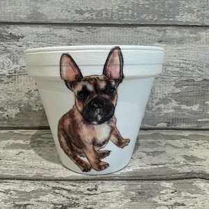 Peut inclure: Pot en céramique blanche avec une illustration de bouledogue français brun et blanc.