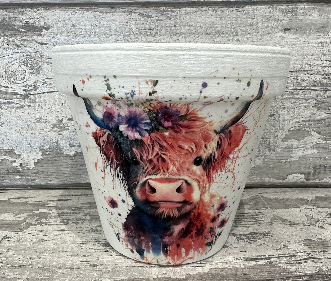 Highland Cow Pot for Inside or Out Decoupaged Cows Garden - Etsy UK