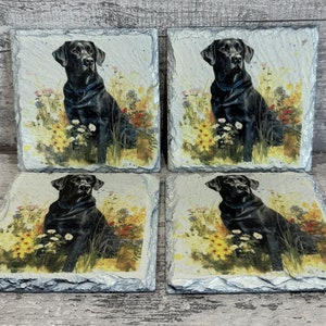 May include: Set of four black slate coasters featuring a black Labrador Retriever sitting in a field of flowers. The coasters are square and have a rustic, natural look.