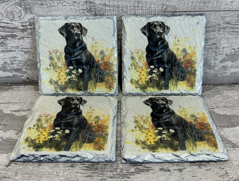 May include: Set of four black slate coasters featuring a black Labrador Retriever sitting in a field of flowers. The coasters are square and have a rustic, natural look.