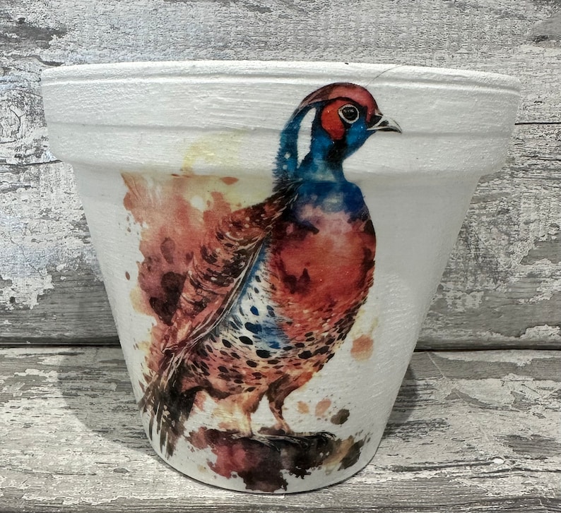 May include: White ceramic planter with a watercolor design of a pheasant. The pheasant is brown, red, and blue with a white background.