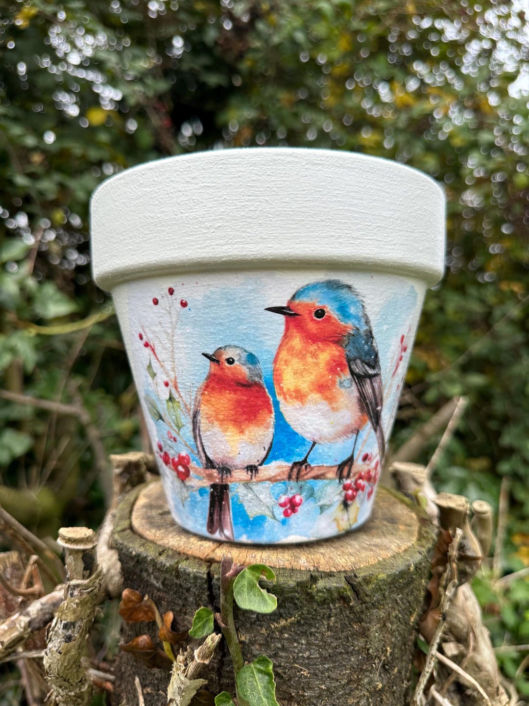 Robin Decoupaged Robin Plant Pot for Inside or Out Decoupaged, Robins, Garden Gifts - Etsy