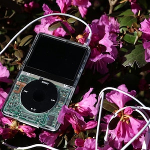 May include: A clear, transparent MP3 player with a black screen and control wheel, displaying its internal circuit board. White earbuds are connected. The device rests among vibrant pink rhododendron flowers.
