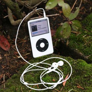 May include: White iPod music player with a black control wheel and a screen displaying a song. White earbuds are connected to the player with a white cable. The device is resting on a bed of green moss.