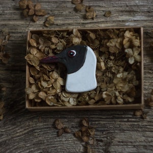 Handmade ceramic brooch, colourful birds brooch, gift for birdwatcher, accessory for nature lover Black-headed Gull