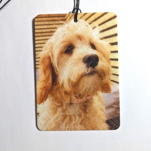 Personalized photo car air freshener cat dog car accessories for women funny car air freshener personalised freshner custom gift family baby