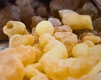 Frankincense Carterii | Resin | Gum  | Herbs | Tea |