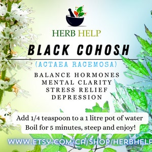 Black Cohosh Root | Actaea racemosa | Herbal Wisdom | Natures Gift |