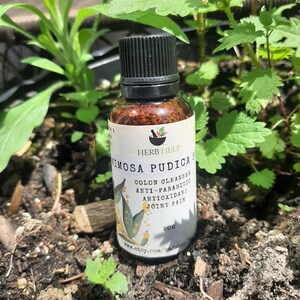 May include: A small brown glass bottle with a black cap, labeled "HERB HELP MIMOSA PUDICA" and containing a brown liquid. The label also lists the product's benefits: Colon Cleanser, Anti-Parasitic, Antioxidant, Joint Pain. The bottle is sitting on a bed of brown dirt and green plants.
