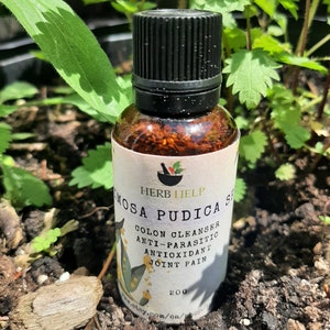 Mimosa Pudica Seed | Purge Parasites | Tapeworms | Mucoid Plaque | Digestion | Parasites | Worms | Intestinal Dysbiosis |