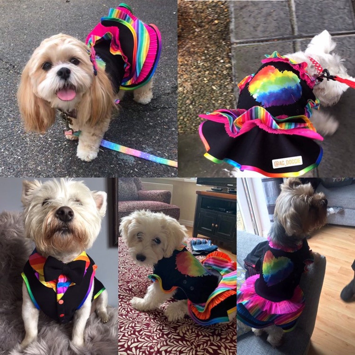 Fancy Rainbow Dress for Female Dog Perfect for LGBTQ Pride Etsy