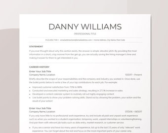 Google Docs Professional Resume Template, Google Simple resume, Traditional CV, Standard Resume, Classic Resume, Curriculum Vitae, Minimal