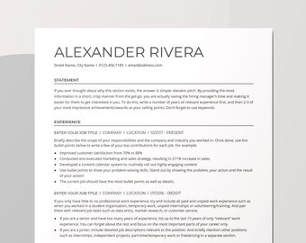 Google Docs Professional Resume Template, 1 Page Minimalist Resume for Google Docs, Simple Resume, Traditional CV Template, Basic Resume