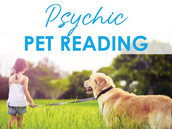 Pet reading 5