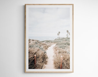May include: A photograph of a path leading to the beach. The path is lined with tall grasses and wooden posts. The ocean is in the background, and there are palm trees on the horizon.