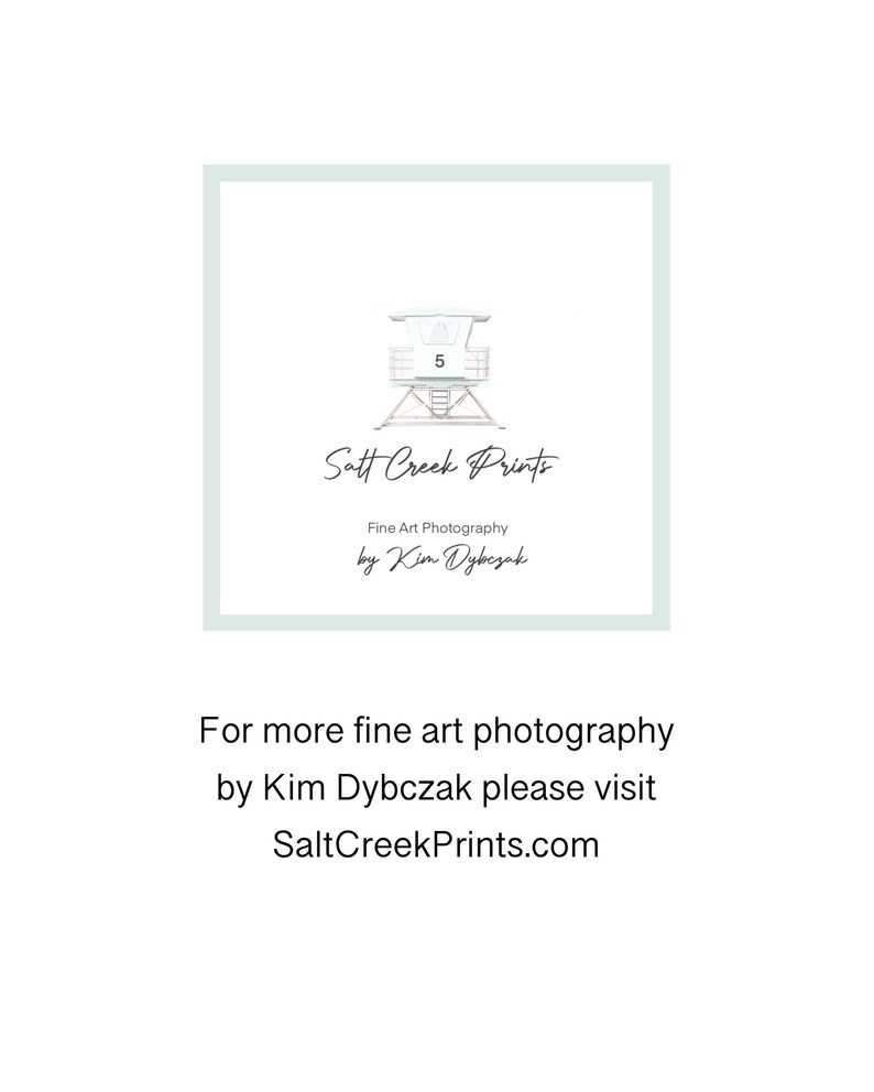 May include: A square graphic featuring a light blue border and a central illustration of a lifeguard tower labeled with the number 5. Below the tower, the text reads Salt Creek Prints, Fine Art Photography by Kim Dybczak. Below the square, text reads For more fine art photography by Kim Dybczak please visit SaltCreekPrints.com.