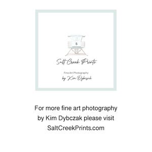 May include: A watercolour illustration of a lifeguard stand with the number 5 on it. The text "Salt Creek Prints" is below the lifeguard stand, with the words "Fine Art Photography by Kim Dybczak" below that. The text "For more fine art photography by Kim Dybczak please visit SaltCreekPrints.com" is below the logo.