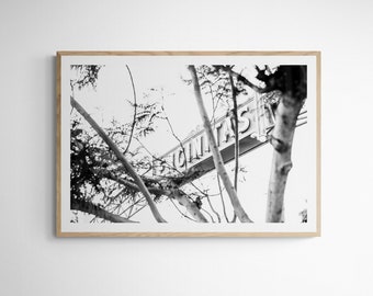 Puede incluir: Fotografía en blanco y negro de una señal de calle que dice "JONATHAN" con ramas de árboles en primer plano.