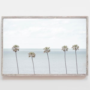 Palms 4922 | Encinitas| Palm Tree Wall Art| San Diego Print| Palm Tree Art Print | Palm Tree Wall Decor| San Diego Photography| Blue Ocean