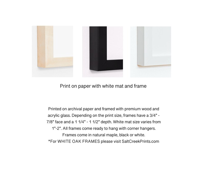 Beacons Beach 8515| Fine Art Surf Print| Beacons Beach| San Diego Wall Art| San Diego Print| Beacons| San Diego Beaches| Photo of Encinitas image 7