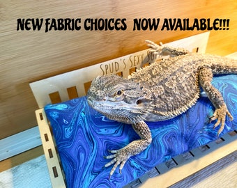 Custom Bearded Dragon Couch - Beardie Sofa - Personalized Habitat Accessories - Gift For Beardie Lovers